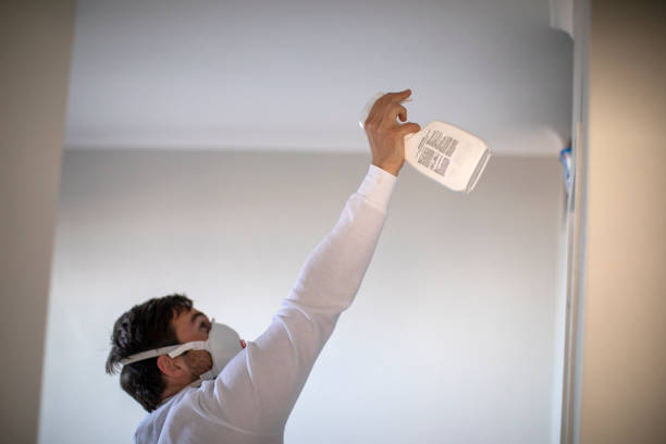 Best Crawl Space Mold Removal  in Woodmoor, CO